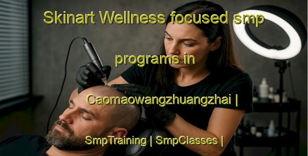 Skinart Wellness-focused smp programs in Caomaowangzhuangzhai | SmpTraining | SmpClasses | SkinartTraining-China